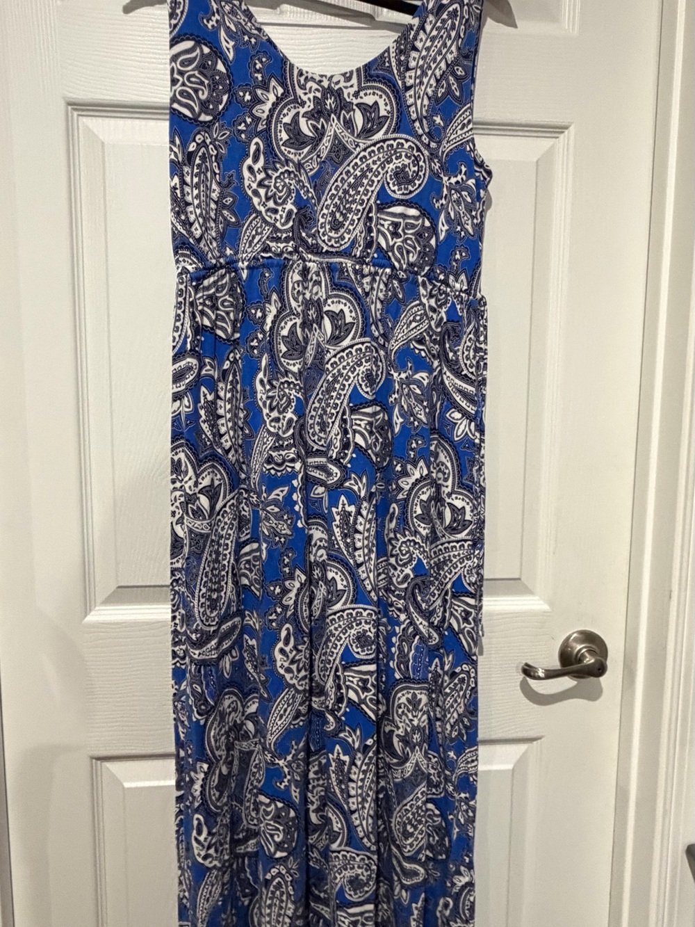 Blue Paisley Maxi Skirt - Women
